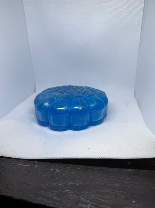 Seashell Container